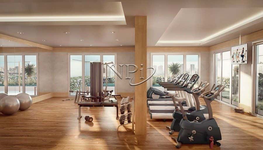 Humberto Primo - imagem 4 Humberto Primo - imagem 4