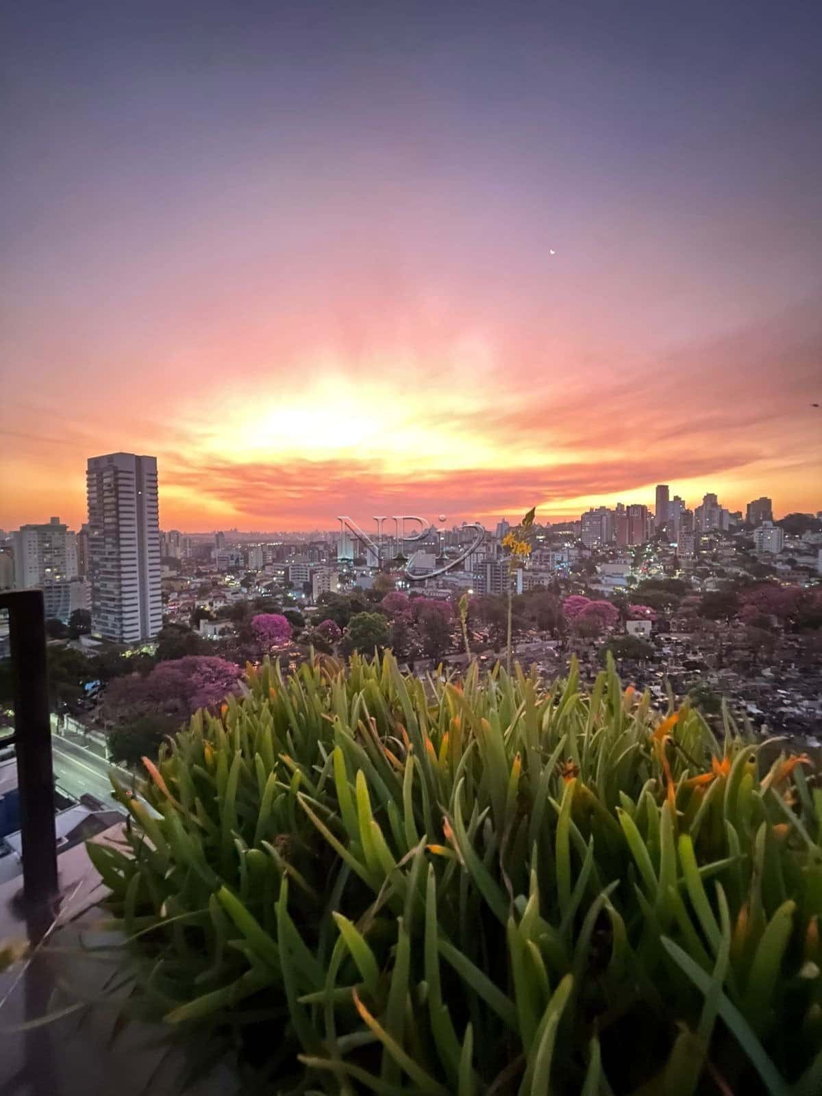 Majestic Plaza Cobertura Pinheiros - imagem 5 Majestic Plaza Cobertura Pinheiros - imagem 5