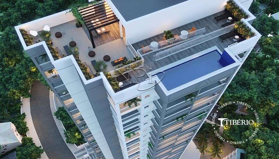 Nico Vila Mariana Nico Vila Mariana Planta