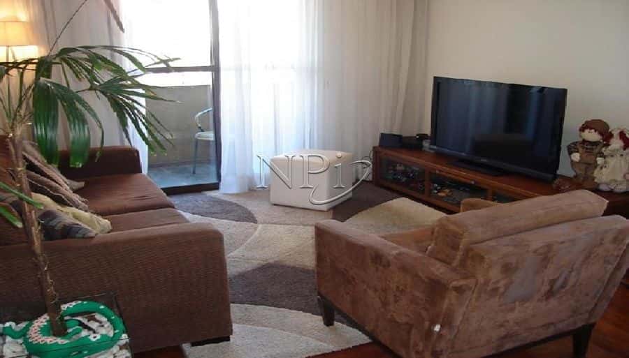 Maison de Oiseaux Klabin - imagem 4 Maison de Oiseaux Klabin - imagem 4