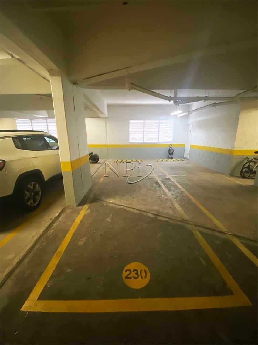 Retrato Paulista - imagem 2 Retrato Paulista - imagem 2