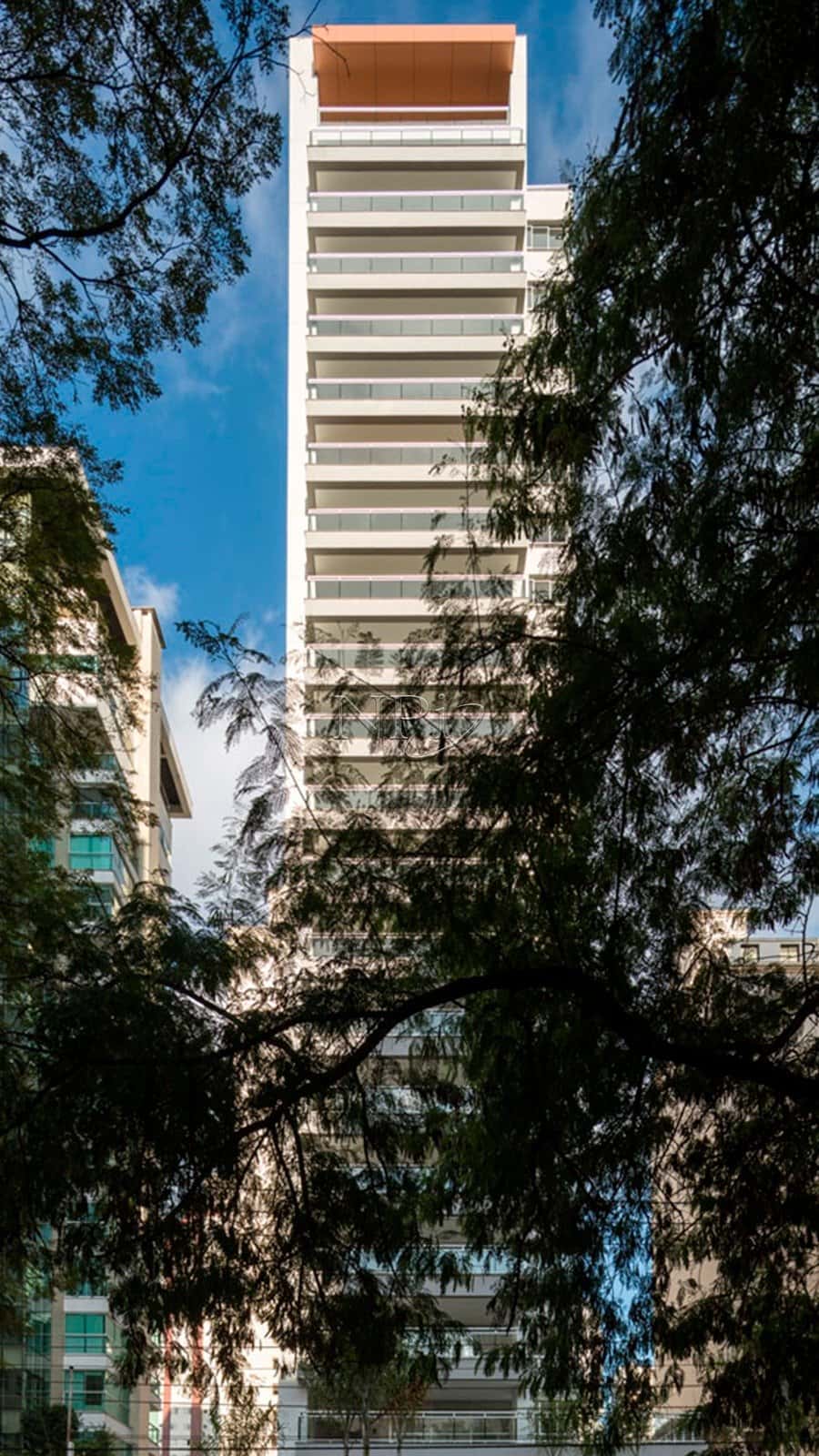 Tom 1102 Campo Belo - imagem 3 Tom 1102 Campo Belo - imagem 3