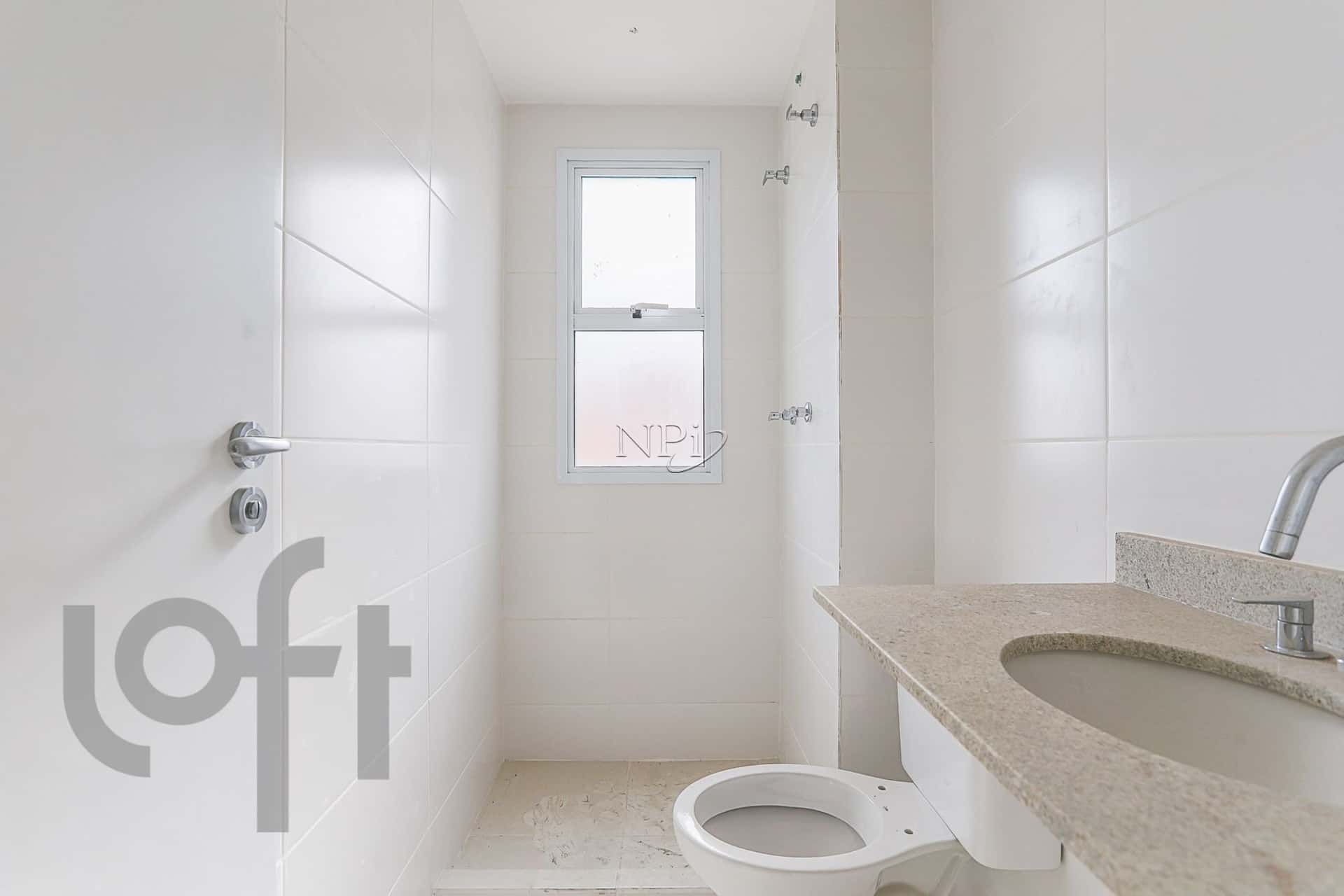 Pintassilgo 556 - imagem 3 Pintassilgo 556 - imagem 3