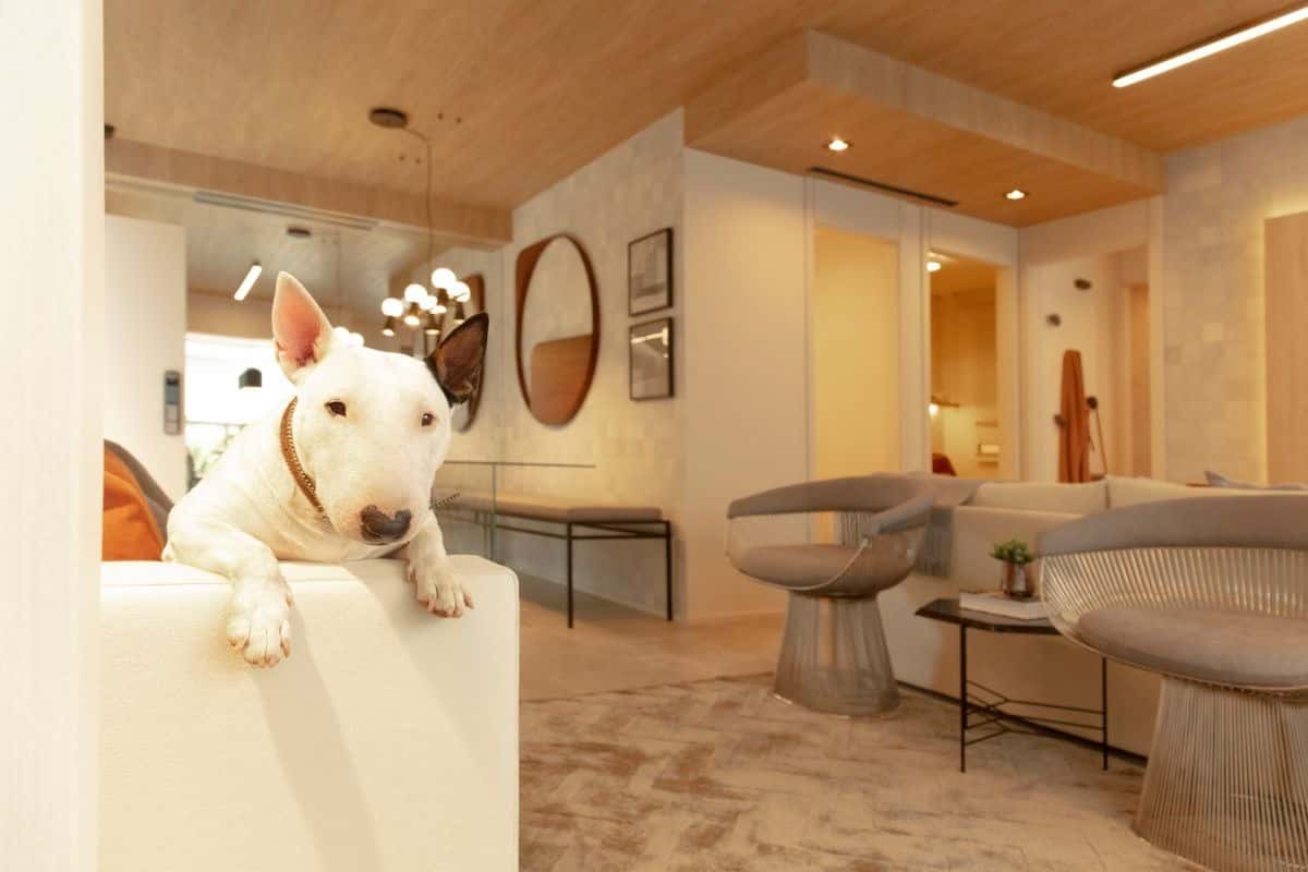 Modo Saúde | Democratas, 571 - imagem 4 Modo Saúde | Democratas, 571 - imagem 4